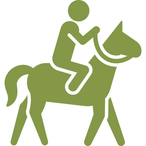 Horseback rider icon in green