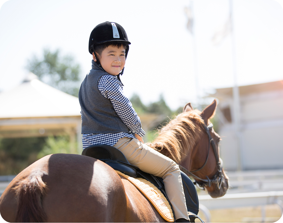 Young equestrian on horseback in sunlight