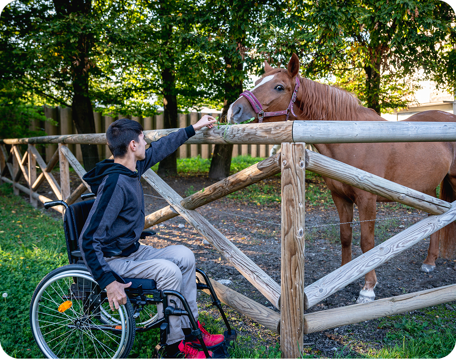Man in wheelchair feeding a horse