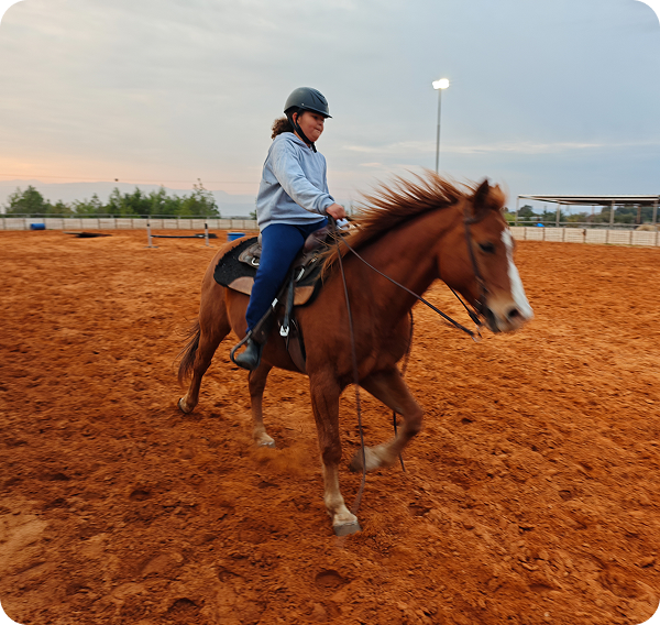 Woman riding horse in sandy arena
