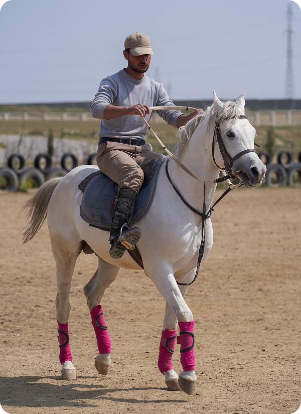 Equestrian training with pink horse wraps