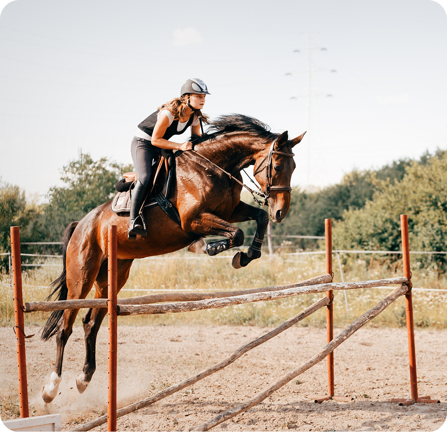Equestrian jumping over a hurdle