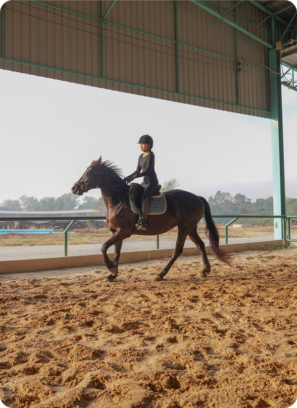 Person riding horse indoors