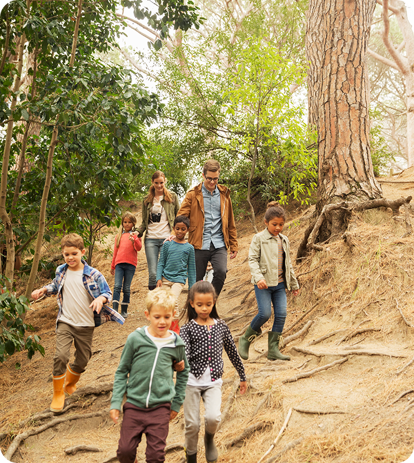 Family adventure in the woods