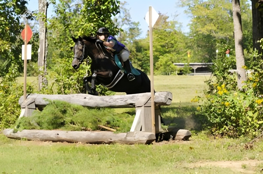 Equestrian event with horse and rider