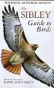 Illustrated bird book cover featuring a hawk