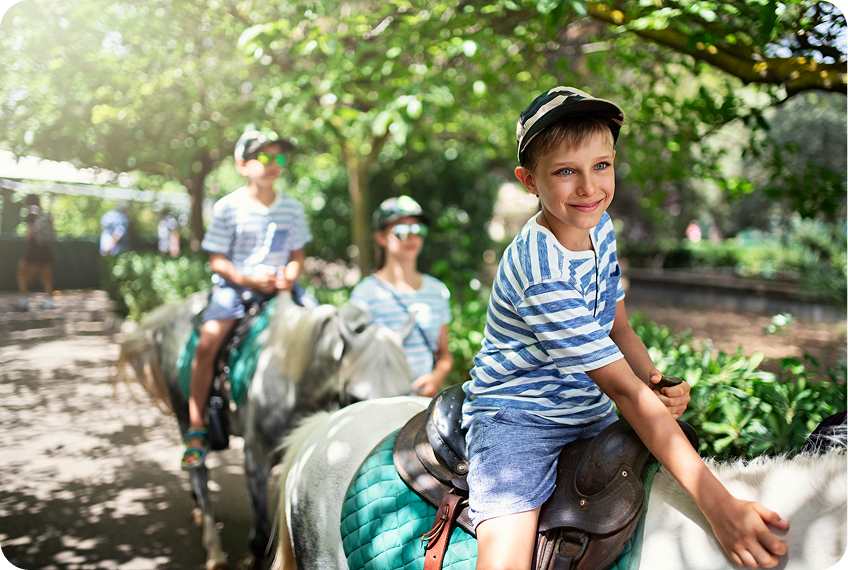Children riding ponies in the park