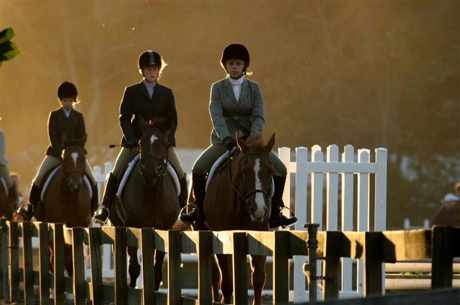 Horse riders in evening light