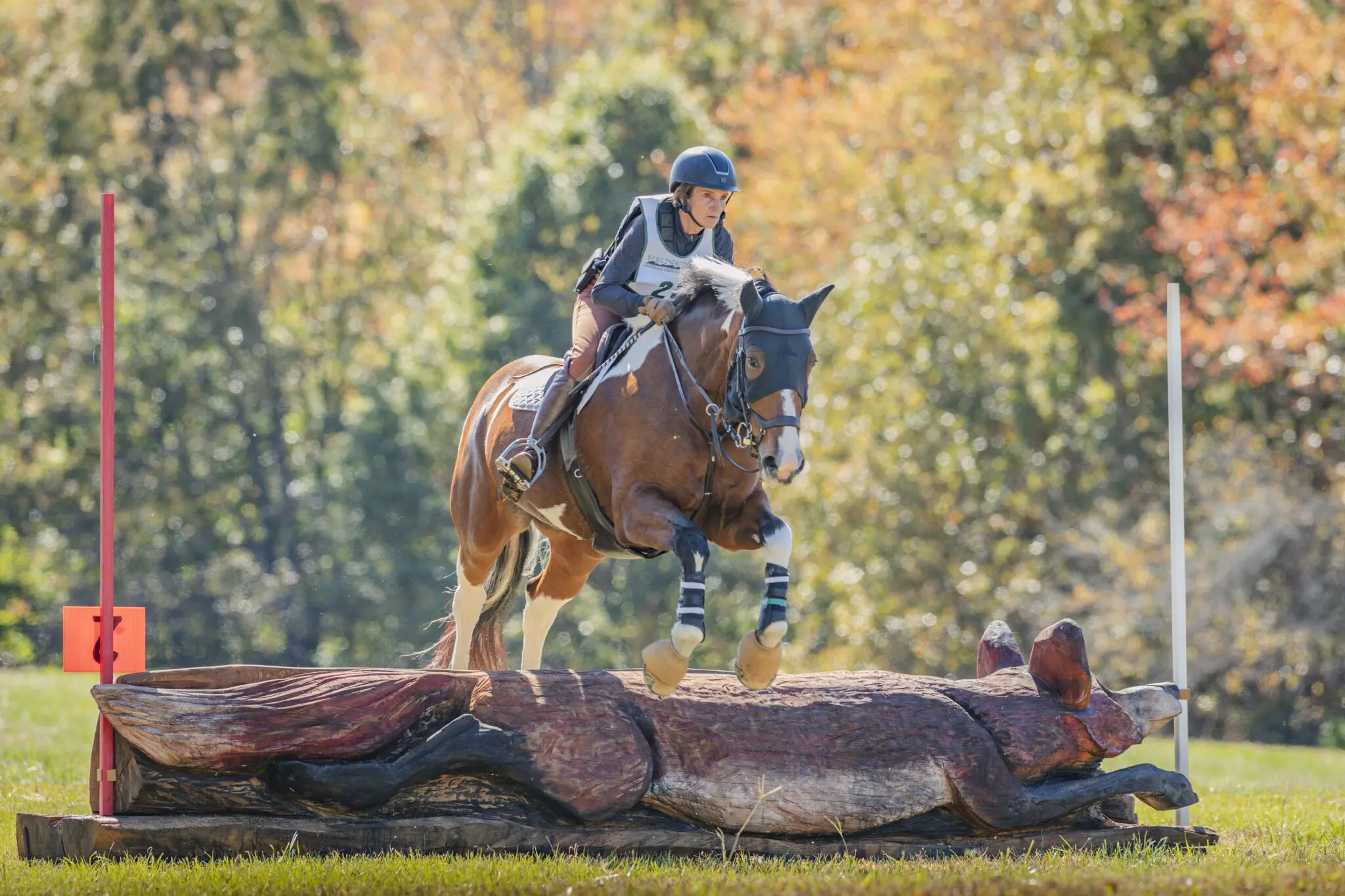 Horse and rider jumping wooden fox obstacle