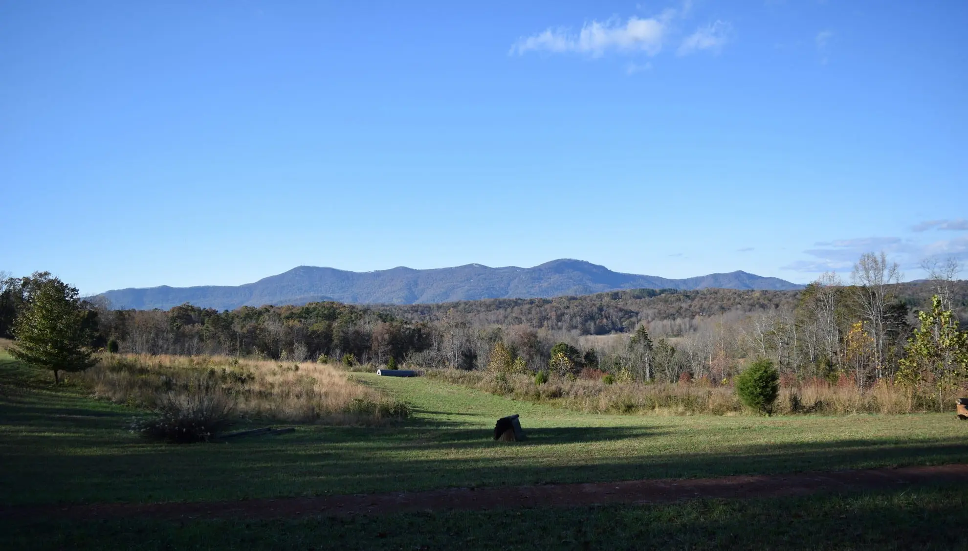 FENCE-Mountain View