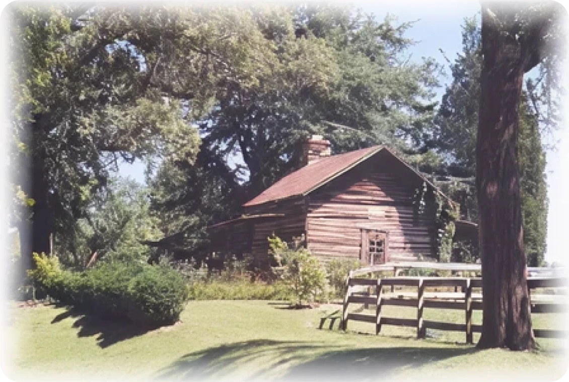 Rustic cabin surrounded by trees